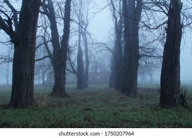 Alley To The Dilapidated, Abandoned Manor In The Autumn Fog.