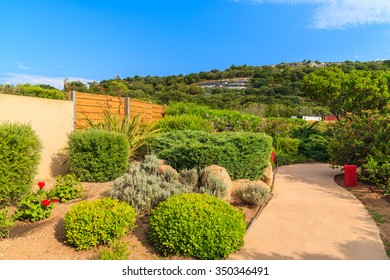 Alley In A Green Park, Santa Manza Village, Corsica Island, France