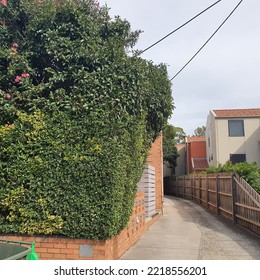 Alley To Housing In Melbourne, Australia.