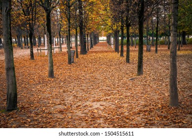 Alley Of The Jardin Des Tuileries Covered With Orange Autumn Leaves, Tuileries Garden In Paris France On A Beautiful Fall Day