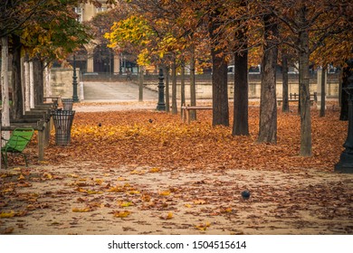 Alley Of The Jardin Des Tuileries Covered With Orange Autumn Leaves, Tuileries Garden In Paris France On A Beautiful Fall Day