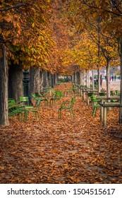 Alley Of The Jardin Des Tuileries Covered With Orange Autumn Leaves, Tuileries Garden In Paris France On A Beautiful Fall Day