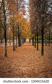 Alley Of The Jardin Des Tuileries Covered With Orange Autumn Leaves, Tuileries Garden In Paris France On A Beautiful Fall Day