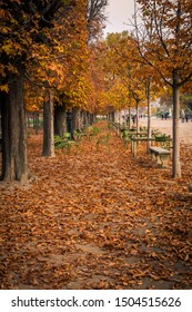 Alley Of The Jardin Des Tuileries Covered With Orange Autumn Leaves, Tuileries Garden In Paris France On A Beautiful Fall Day