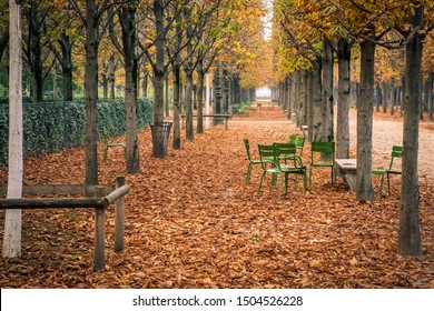 Alley Of The Jardin Des Tuileries Covered With Orange Autumn Leaves, Tuileries Garden In Paris France On A Beautiful Fall Day