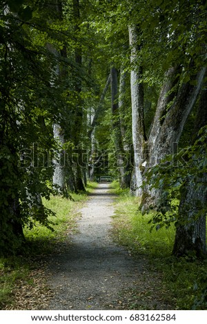 Similar – Foto Bild Waldidyll Umwelt Natur