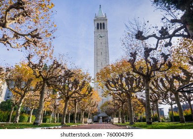 Alley lined up with autumn colored trees; Sather (Campanile) tower in the background, Berkeley, San Francisco bay, California