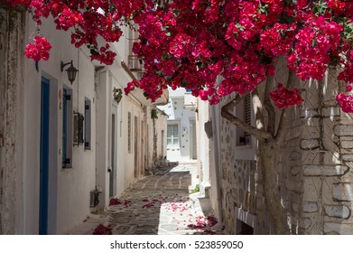 Alley On Samos, Greece
