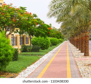  alley with palm trees