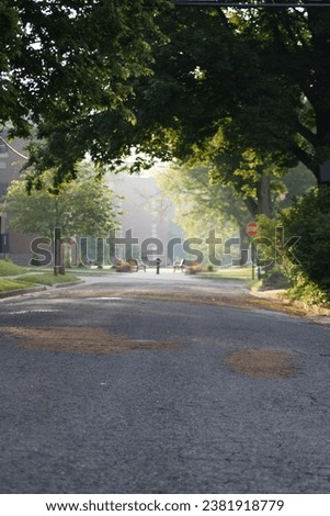 Alley road country peace no cars calm quiet neighborhood bushes branches trees 