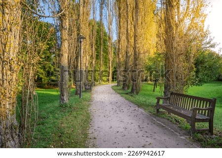 Alley with trees in a row, treptower park at autumn sunset, Berlin, Germany Foto stock © 