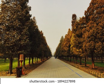 Alley Way Street In Park In China