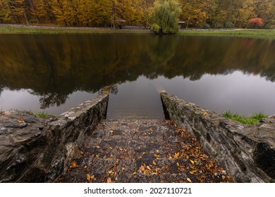 Alleyway In Foggy Park. Autumn, Rainy Weather