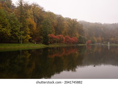 Alleyway In Foggy Park. Autumn, Rainy Weather