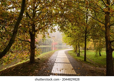 Alleyway In Foggy Park. Autumn, Rainy Weather