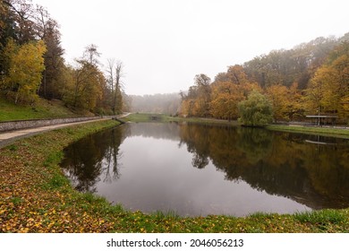 Alleyway In Foggy Park. Autumn, Rainy Weather