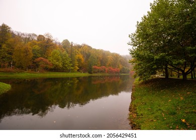 Alleyway In Foggy Park. Autumn, Rainy Weather