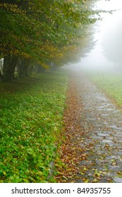 Alleyway In Foggy Park. Autumn, Rainy Weather