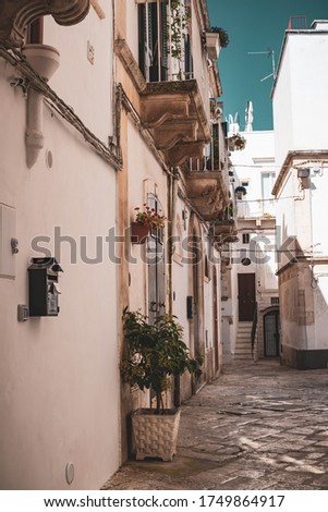 Similar – Image, Stock Photo Gallipoli, Apulia