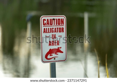 Alligator danger warning signpost in Florida waterfront park about caution and safety during walking near water