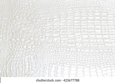 Alligator Leather Texture Colorful