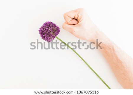 Similar – Image, Stock Photo Allium isolated on white background