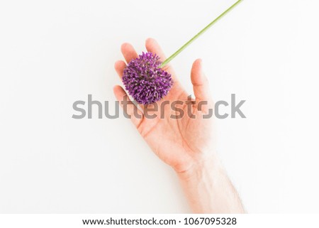 Image, Stock Photo Allium isolated on white background