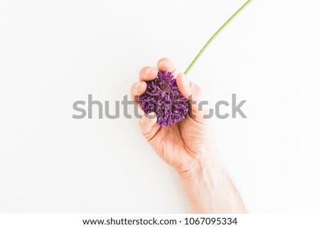 Similar – Image, Stock Photo Allium isolated on white background