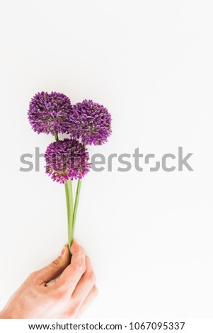 Similar – Image, Stock Photo Allium isolated on white background