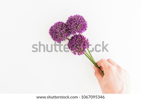 Similar – Image, Stock Photo Allium isolated on white background