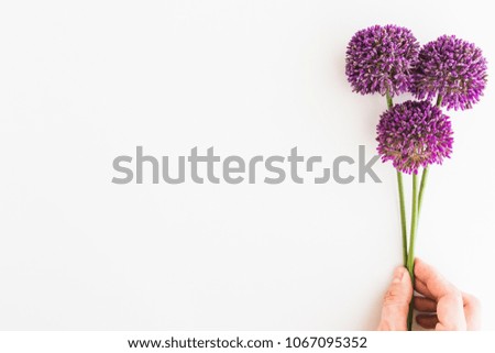 Similar – Image, Stock Photo Allium isolated on white background