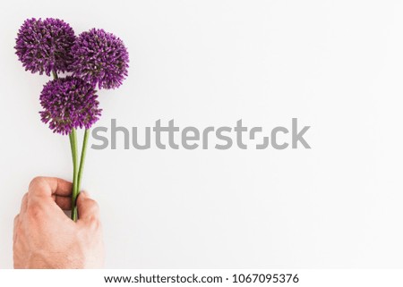 Similar – Image, Stock Photo Allium isolated on white background