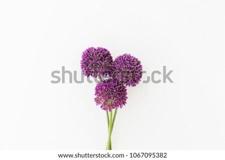 Similar – Allium isolated on white background