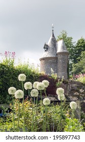 Alliums At Trelissick