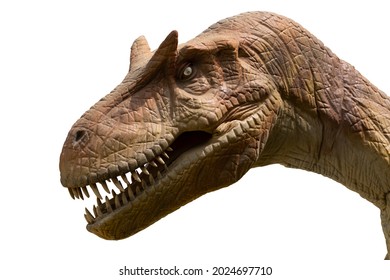 Allosaurus Isolated On White Background. Allosaurus Is A Carnivore Dinosuar lived in jurassic era - Powered by Shutterstock