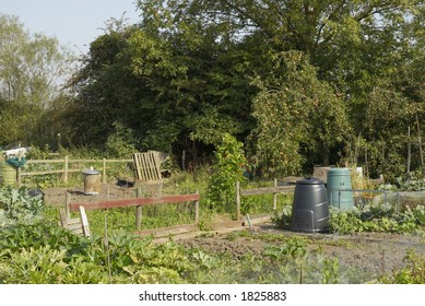 Allotment With Growing Vegetables, UK.