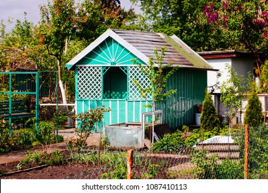 Allotment Hut In The Spring Time