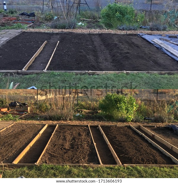 Allotment Plot Design Raised Rectangular Triangular Stock Photo ...