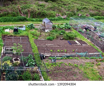 Allotment Plots In England; View From Above.