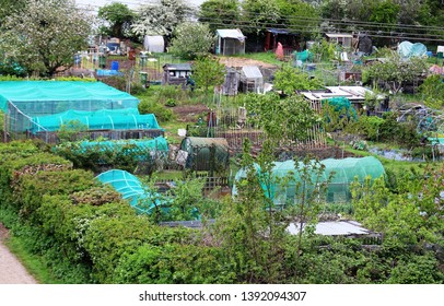 Allotment Plots In England; View From Above.