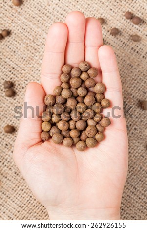 Allspice pepper aroma spice seeds nutrition in unrecognizable woman's hand on textile background