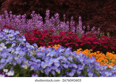 An alluring image of an array of vibrant, colorful flowers in a meadow at the onset of twilight during the autumn season