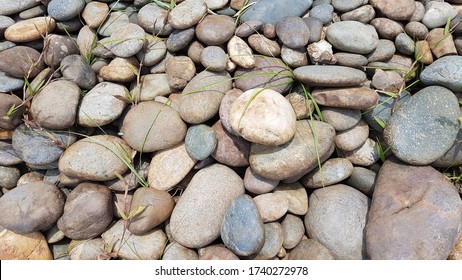 The Alluvium Transportation That Appeared The Gravel Deposited From Mekong River.