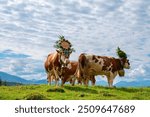 Almabtrieb in Kaisergebirge, Austrian Alps. Wilder Kaiser Austrian national park, Scheffau, Tirol, Austria. Cattle drive festival. Cows elaborately decorated with flowers. Idyllic landscape.