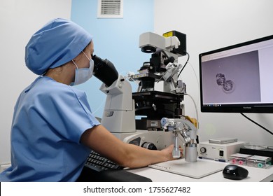Almaty / Kazakhstan - 02.13.2019 : Artificial insemination clinic. Embryologists perform tests with human eggs.