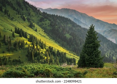 Almaty mountain summer landscape in mountain ridge Alatau, Kazakhstan - nature of central asia, Kimasar gorge.