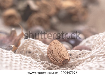 Similar – Dried poppy seed capsules on an old metal plate