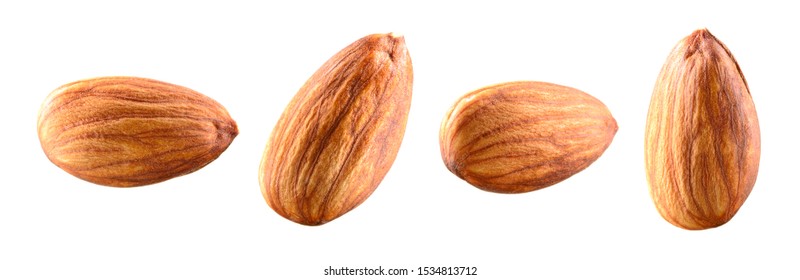 Almond isolated. Almonds on white background. Almond set. Full depth of field.
