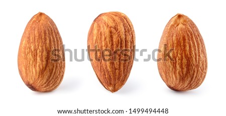 Almond isolated. Almonds on white background. Almond set. Full depth of field.
