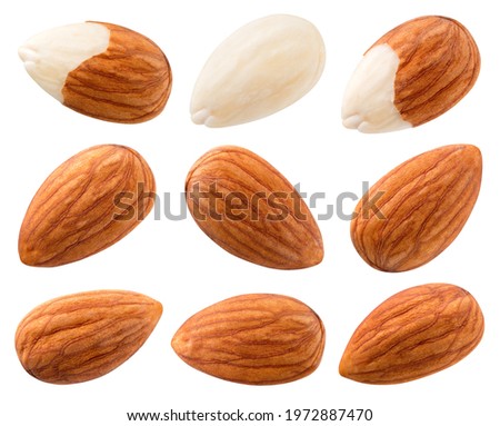 Almond isolated. Almonds on white background. Almond set top view. With clipping path. Full depth of field. Perfect not AI almond, true photo.
